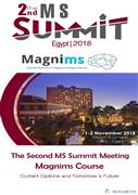 2nd MS Summit