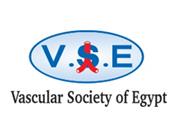 10th Annual Congress of VSE