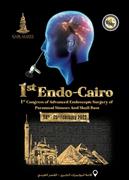 1st Endo-Cairo